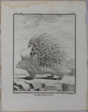 Load image into Gallery viewer, Jacques de Sève, after. Autre Porc - epic. Engraved by Christian Friedrich Fritzsch. 1770.