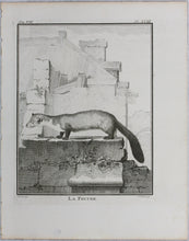 Load image into Gallery viewer, Jacques de Sève, after. La Fouine. Engraved by Christian Friedrich Fritzsch. 1772.