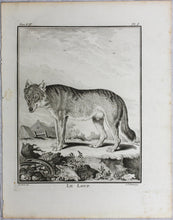 Load image into Gallery viewer, Jacques de Sève, after. Le Loup. Engraved by Christian Friedrich Fritzsch. 1772.