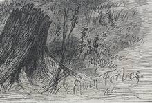 Load image into Gallery viewer, Edwin Austin Forbes, after. Cotton team in North Carolina. Wood engraving. 1866.