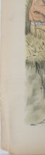 Load image into Gallery viewer, Bernhard Gillam. That wicked little farmer boy. Political cartoon. Color lithograph. 1890.