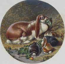 Load image into Gallery viewer, John F Herring Snr., after. Farm Yard. Lithographer John West Giles. Color lithograph. Circa 1852.