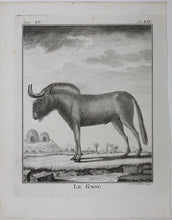 Load image into Gallery viewer, Le Gnou. Engraved by B. de Bakker. 1771.