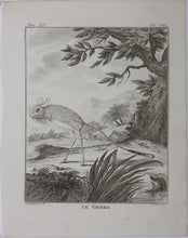 Load image into Gallery viewer, Jurriaan Andriessen, after. Le Gerbo. Engraved by Christian Friedrich Fritzsch. 1771.