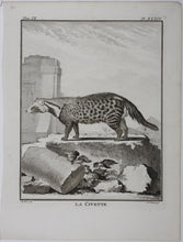 Load image into Gallery viewer, Jacques de Sève, after. La Civette. Engraved by Christian Friedrich Fritzsch. C. 1767.