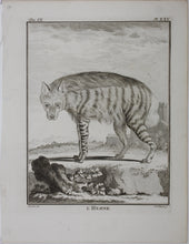 Load image into Gallery viewer, Jacques de Sève, after. l'Hyaene. Engraved by Christian Friedrich Fritzsch. 1767.