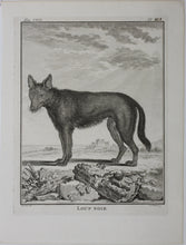 Load image into Gallery viewer, Jacques de Sève, after. Loup Noir. Engraved by Christian Friedrich Fritzsch. 1767.
