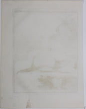 Load image into Gallery viewer, Jacques de Sève, after. Le Furet Putois. Engraved by Christian Friedrich Fritzsch. 1772.