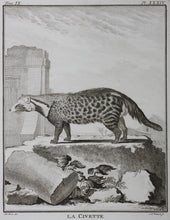 Load image into Gallery viewer, Jacques de Sève, after. La Civette. Engraved by Christian Friedrich Fritzsch. C. 1767.