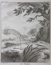 Load image into Gallery viewer, Jurriaan Andriessen, after. Le Gerbo. Engraved by Christian Friedrich Fritzsch. 1771.