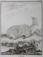 Load image into Gallery viewer, Buvée, after. L'Elan. Engraved by Christian Friedrich Fritzsch. 1769.