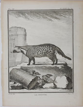 Load image into Gallery viewer, Jacques de Sève, after. La Civette. Engraved by Jean Charles Baquoy. 1767.