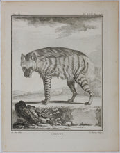 Load image into Gallery viewer, Jacques de Sève, after.  L'Hyaene. Engraved by Pierre Charles Baquoy. 1761.