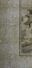 Load image into Gallery viewer, Jacques de Sève, after. Variete du Phoque Commun. Engraved by O. de Vries. 1785.