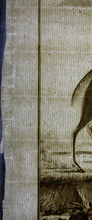 Load image into Gallery viewer, Le Bosbok. Engraved by Christian Friedrich Fritzsch. 1785.