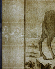 Load image into Gallery viewer, C. Ed., after. l'Antilope. Engraved by Christian Friedrich Fritzsch. 1771.