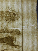 Load image into Gallery viewer, Jurriaan Andriessen, after. Le Gerbo. Engraved by Christian Friedrich Fritzsch. 1771.