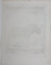 Load image into Gallery viewer, Le Gnou. Engraved by B. de Bakker. 1771.