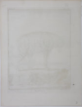 Load image into Gallery viewer, Jacques de Sève, after. l'Hyaene. Engraved by Christian Friedrich Fritzsch. 1767.