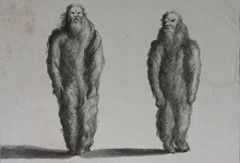 Load image into Gallery viewer, Augustin Calmet. Mandragores artificielles, nues, et vestues. Engraving. 1722.