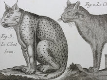 Load image into Gallery viewer, Robert Bénard, after. Le Serval, Les Chats. Engraved by Scattaglia. C. 1790.