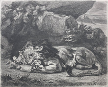 Load image into Gallery viewer, Delacroix, after. Lion Devouring a Rabbit. Etching by Gustave Greux. C. 1870.