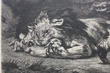 Load image into Gallery viewer, Delacroix, after. Lion Devouring a Rabbit. Etching by Gustave Greux. C. 1870.
