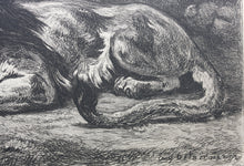 Load image into Gallery viewer, Delacroix, after. Lion Devouring a Rabbit. Etching by Gustave Greux. C. 1870.