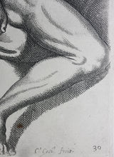 Load image into Gallery viewer, Annibale Carracci, after. An Ignudo. Etching by Carlo Cesi. 1657.