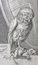 Load image into Gallery viewer, Giovanni Battista Cipriani. O, Fair Britannia, Hail. Engraving. 1760.