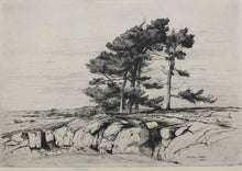 Load image into Gallery viewer, Walter John James, 3rd Baron Northbourne. Landscape. Etching. 1907.