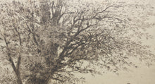 Load image into Gallery viewer, Axel Herman Haig. Linlithgow Palace. Etching. 1901.