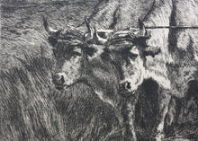 Load image into Gallery viewer, Constant Troyon, after. Oxen Ploughing. Engraving by Charles Courtry. 1860.
