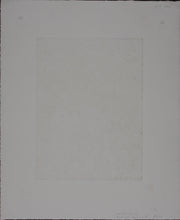 Load image into Gallery viewer, Walter Crump. Promised Equinox II. Aquatint. 1985.