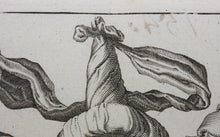 Load image into Gallery viewer, Jacques de Gheyn II. A Woman Dressed Festively, A Man In A Cape And A Masked Man. Engraving. 1595-1596.