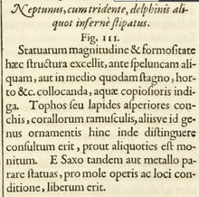 Load image into Gallery viewer, Georg Andreas Bockler. Fountain Neptune. Engraving #111. 1664.