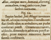 Load image into Gallery viewer, Georg Andreas Bockler. Fountain, designed and built by Johann Maggio. Engraving # 84. 1664.