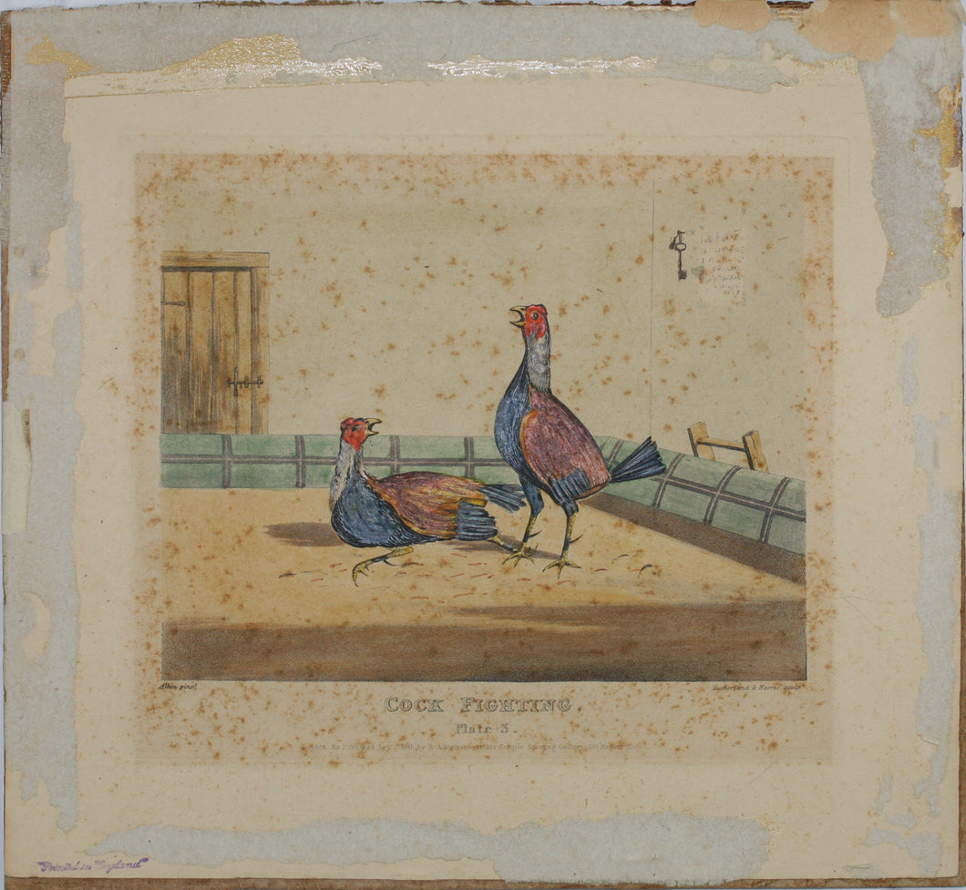Henry Thomas Alken, after. Cock Fighting. Two prints by Sutherland & Harris, after. XIX - XX C.