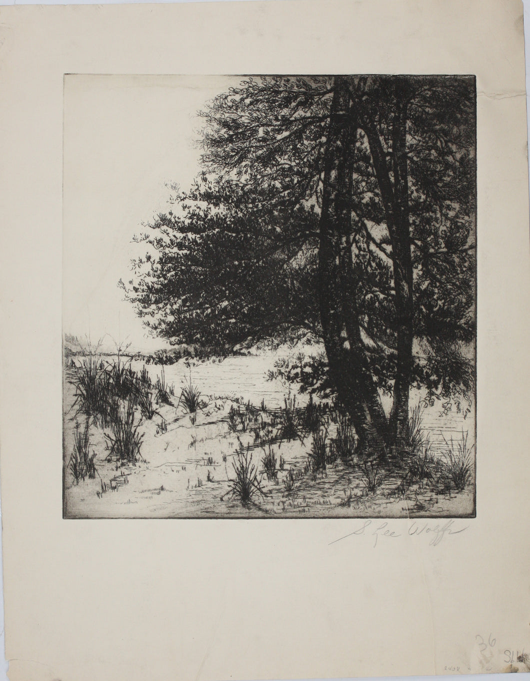 Sigmund  Lee Wolffs. Landscape with pine trees. Etching. Proof printed on heavy stock paper.  1938.