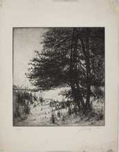 Load image into Gallery viewer, Sigmund  Lee Wolffs. Landscape with pine trees. Etching. 3/25. 1938.
