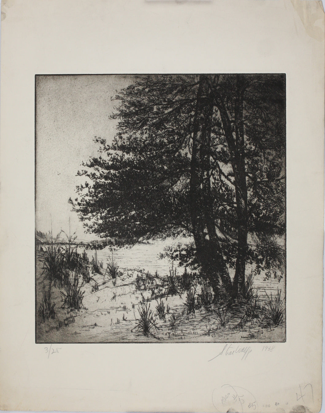 Sigmund  Lee Wolffs. Landscape with pine trees. Etching. 3/25. 1938.