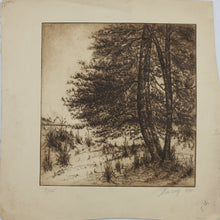 Load image into Gallery viewer, Sigmund  Lee Wolffs. Landscape with pine trees. Etching, printed in sepia. 4/25. 1938.
