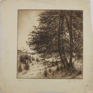 Sigmund  Lee Wolffs. Landscape with pine trees. Etching, printed in sepia. 4/25. 1938.