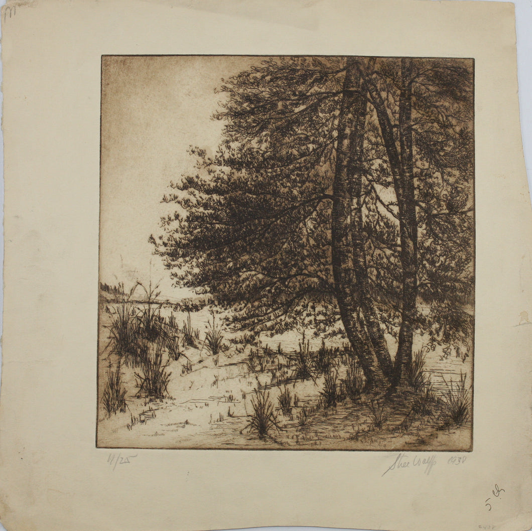 Sigmund  Lee Wolffs. Landscape with pine trees. Etching, printed in sepia. 4/25. 1938.
