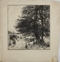 Load image into Gallery viewer, Sigmund  Lee Wolffs. Landscape with pine trees. Etching. 1/25. 1938.
