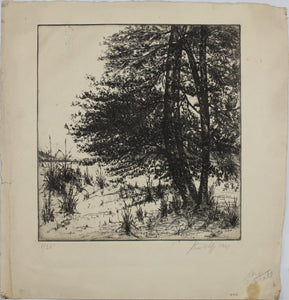 Sigmund  Lee Wolffs. Landscape with pine trees. Etching. 1/25. 1938.