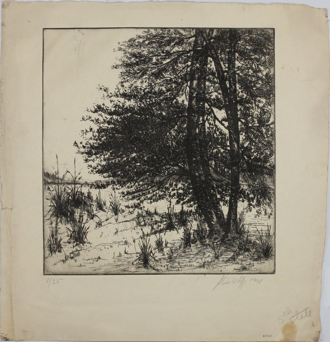 Sigmund  Lee Wolffs. Landscape with pine trees. Etching. 1/25. 1938.