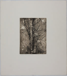 Ladislav Hanka. Twin Tranks. Etching. 1985.