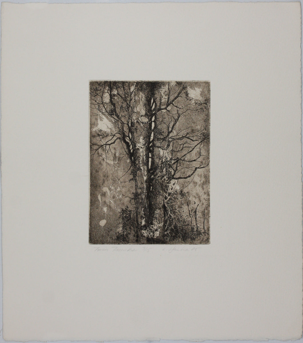 Ladislav Hanka. Twin Tranks. Etching. 1985.