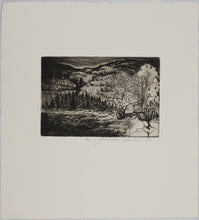 Load image into Gallery viewer, Ladislav Hanka. Landscape. Etching. 1987.
